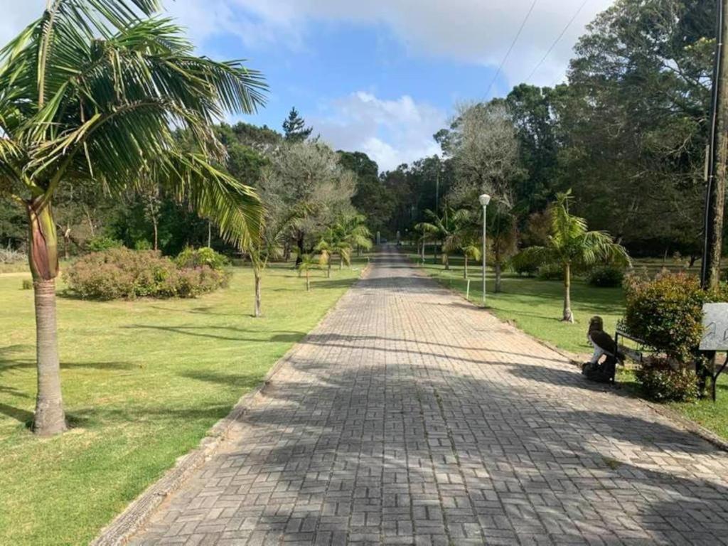 Palm Villa Πορτ Ελίζαμπεθ Εξωτερικό φωτογραφία